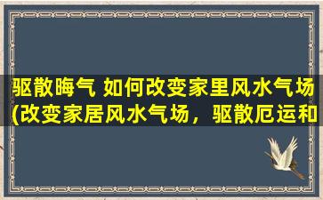 驱散晦气 如何改变家里风水气场(改变家居风水气场，驱散厄运和不吉之气)